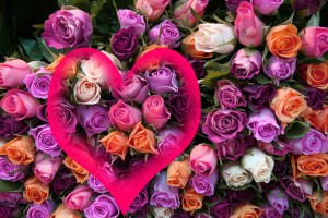 1244670_Roses for Love_Valentines Day
