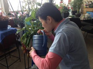 Home Watch Services, Indoor Plant Care