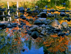 Getting Out In Fall With a Personal Concierge In Newton MA